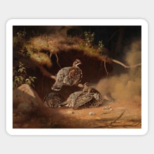 Hazel Grouse Wallowing In Sand by Ferdinand von Wright Sticker